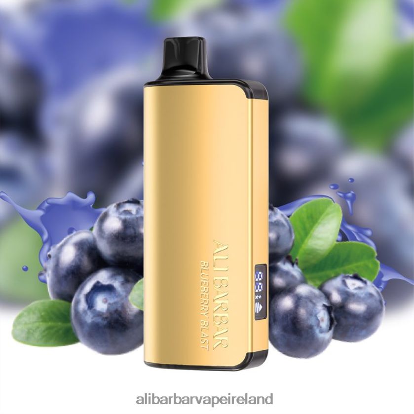 Alibarbar Flavours - Blueberry Blast RN4H6T31 Alibarbar Ingot 20000 Disposable Vape