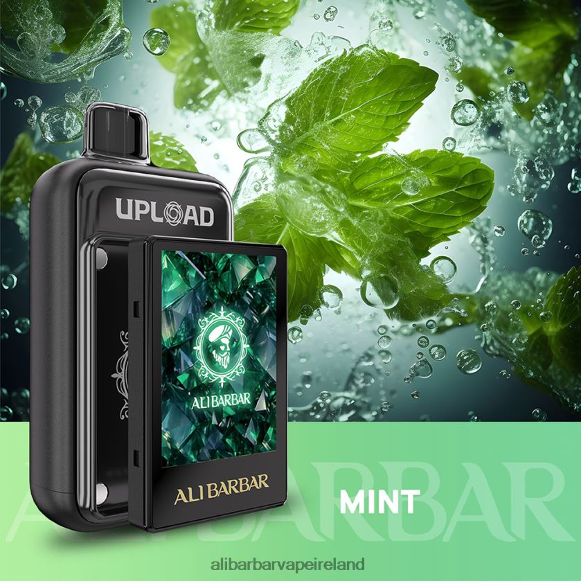 Mint