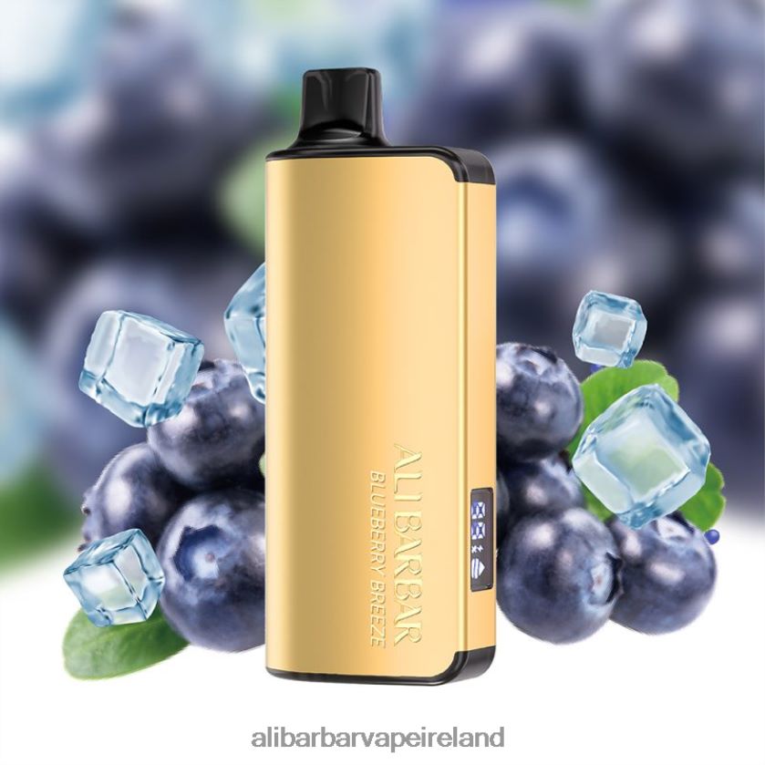 Alibarbar Puffs - Blueberry Breeze RN4H6T32 Alibarbar Ingot 20000 Disposable Vape