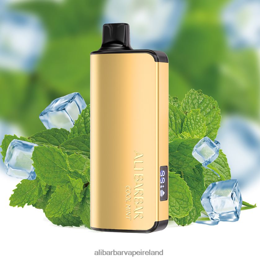 Alibarbar Vape Review - Cool Mint RN4H6T18 Alibarbar Ingot 9000 Disposable Vape