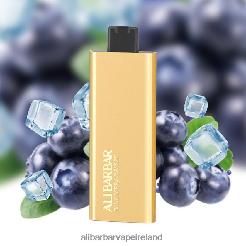 Alibarbar Vape Ireland - Blueberry Breeze RN4H6T51 Alibarbar Pandora 7000 Disposable Vape