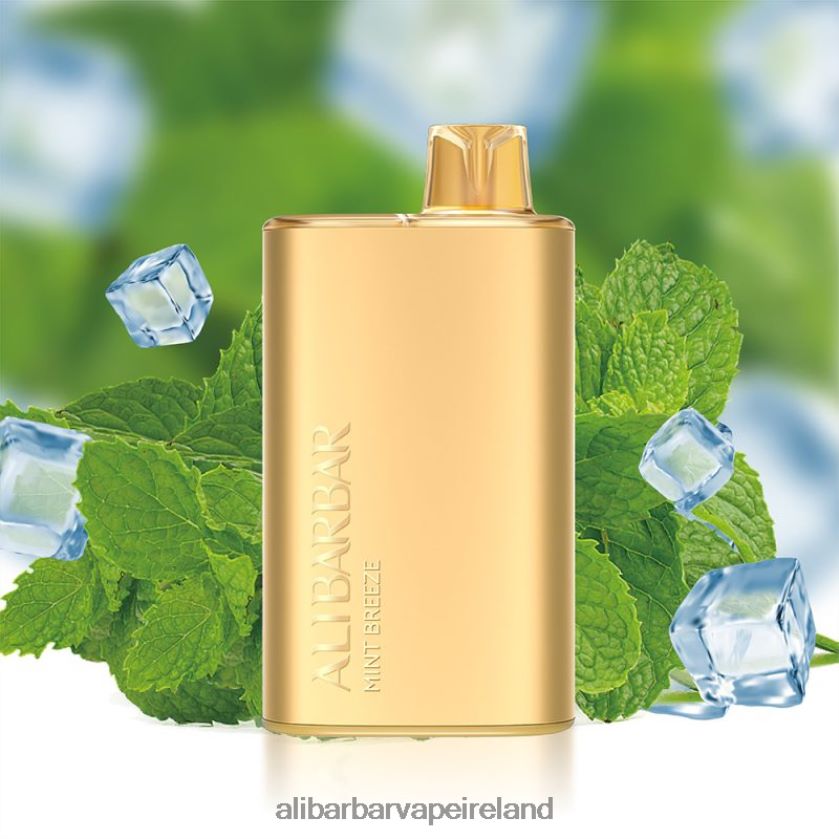 Alibarbar Puffs - Mint Breeze RN4H6T8 Alibarbar Rich 8000 Disposable Vape