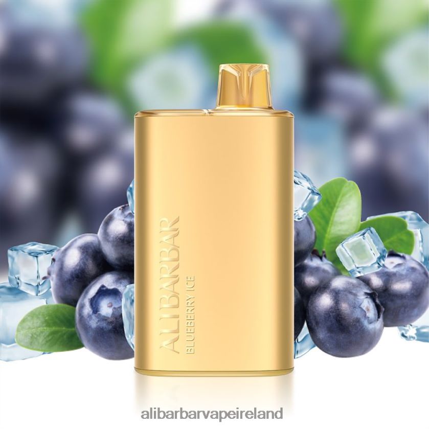 Alibarbar Vape Ireland - Blueberry Ice RN4H6T3 Alibarbar Rich 8000 Disposable Vape